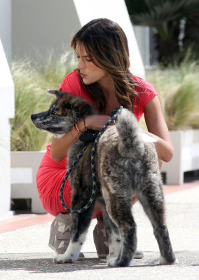 Alessandra Ambrosio pic #613709