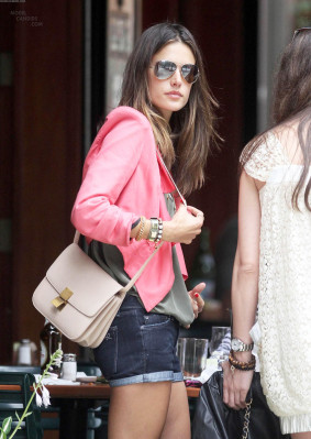 Alessandra Ambrosio pic #460475