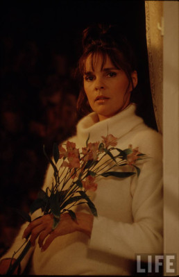 Ali MacGraw pic #379231