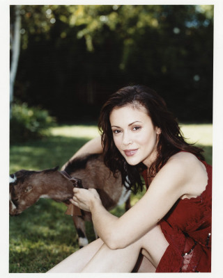 Alyssa Milano pic #337656