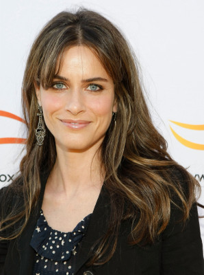 photo 8 in Amanda Peet gallery [id221848] 2009-12-16 00:00:00