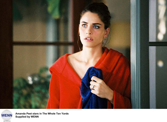 photo 24 in Amanda Peet gallery [id228304] 2009-12-30 00:00:00