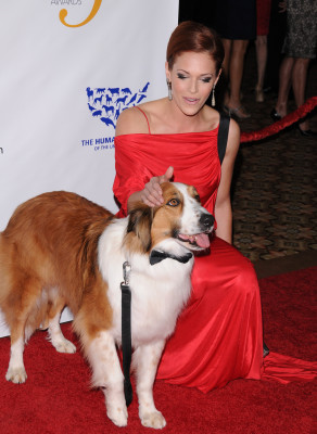 Amanda Righetti pic #395246