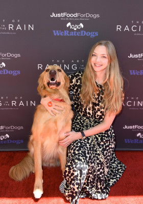 Amanda Seyfried - Dog Premiere of &#039;The Art of Racing in the Rain&#039; in LA 08/01/19