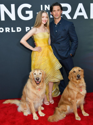 Amanda Seyfried - &#039;The Art of Racing in the Rain&#039; LA Premiere 08/01/2019