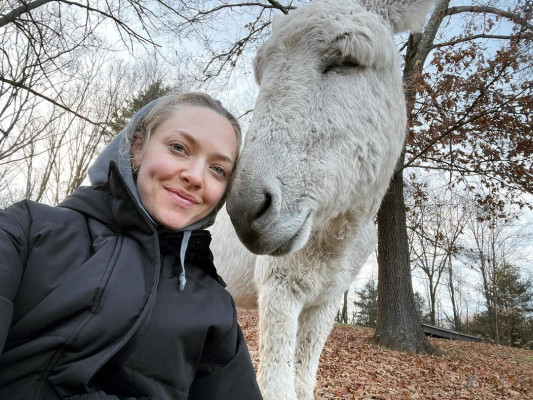 Amanda Seyfried - 12/04/2021
