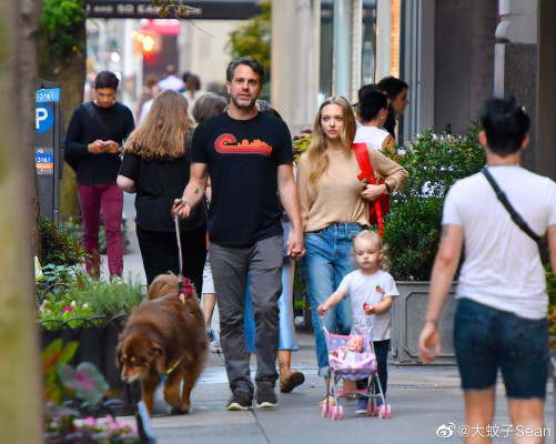 Amanda Seyfried - New York 08/06/2019