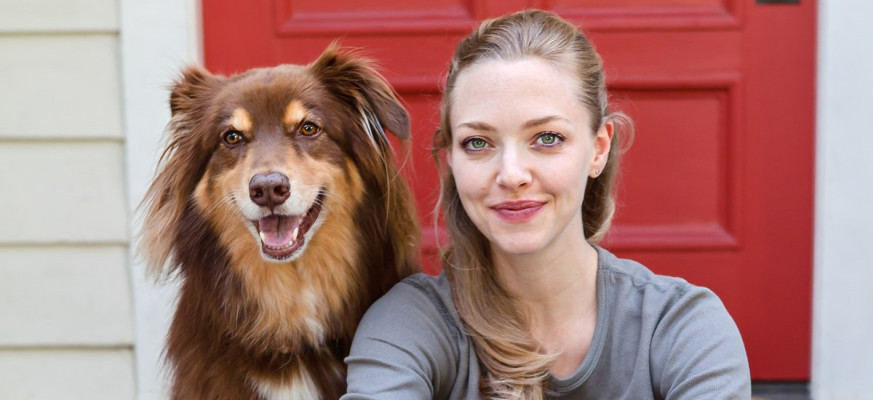 Amanda Seyfried pic #1015792