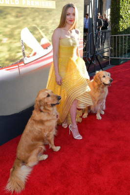 Amanda Seyfried pic #1206929