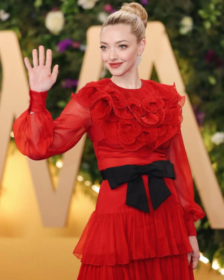Amanda Seyfried - Joy Awards in Riyadh, Saudi Arabia 01/18/2025