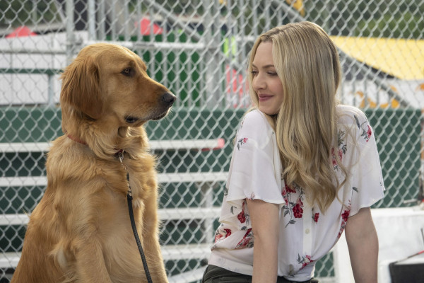 Amanda Seyfried - The Art of Racing in the Rain (2019)