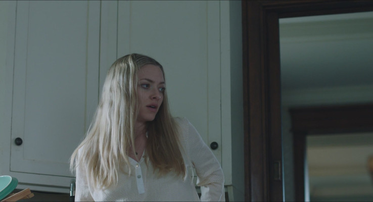 Amanda Seyfried - The Art of Racing in the Rain (2019)
