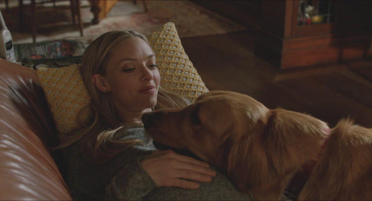 Amanda Seyfried - The Art of Racing in the Rain (2019)
