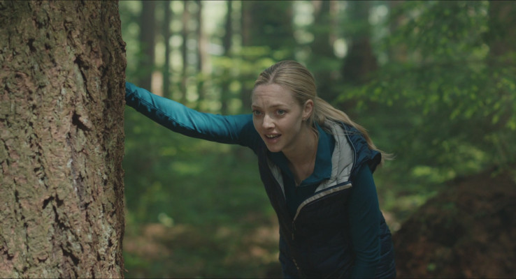 Amanda Seyfried - The Art of Racing in the Rain (2019)