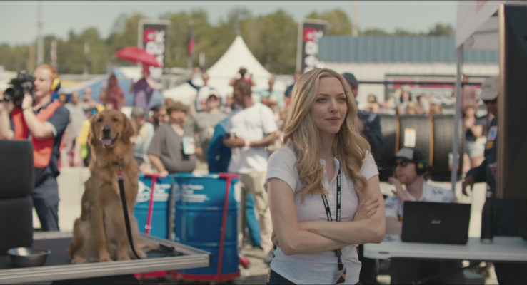 Amanda Seyfried - The Art of Racing in the Rain (2019)