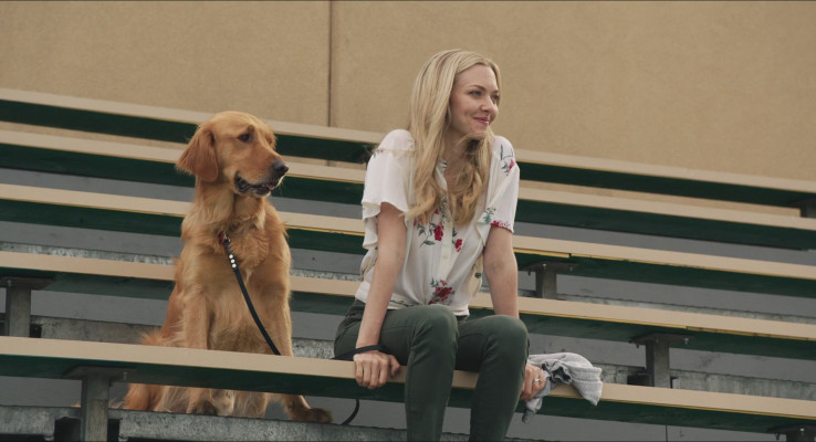 Amanda Seyfried - The Art of Racing in the Rain (2019)