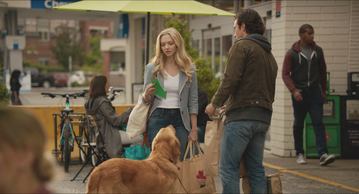 Amanda Seyfried - The Art of Racing in the Rain (2019)