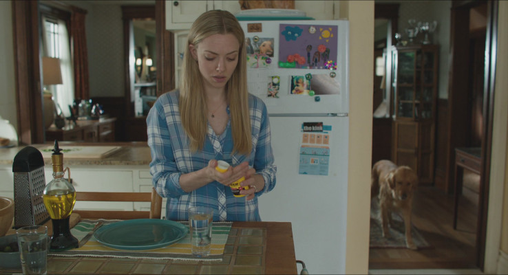 Amanda Seyfried - The Art of Racing in the Rain (2019)