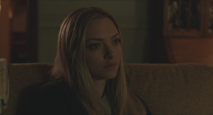 Amanda Seyfried - The Art of Racing in the Rain (2019)