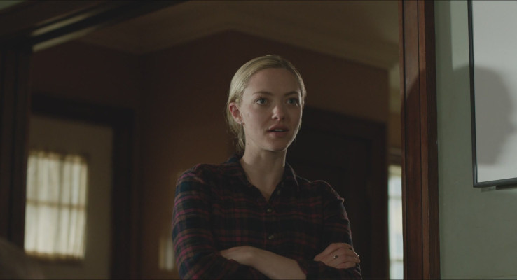 Amanda Seyfried - The Art of Racing in the Rain (2019)