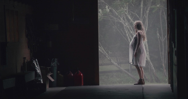 Amanda Seyfried - Birdwatching (2021)