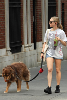 Amanda Seyfried pic #669979