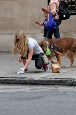 Amanda Seyfried pic #664510