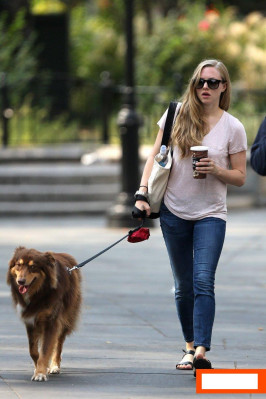 Amanda Seyfried pic #665182
