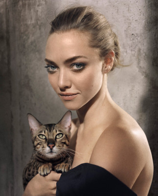 Amanda Seyfried pic #839408