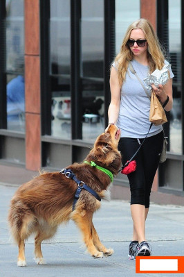 Amanda Seyfried pic #665181