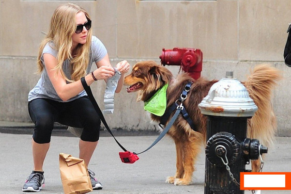 Amanda Seyfried pic #665180