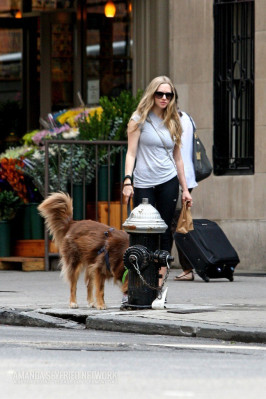 Amanda Seyfried pic #664505