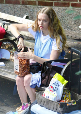 Amanda Seyfried - &#039;A Mouthful Of Air&#039; On Set in New York 09/24/2019