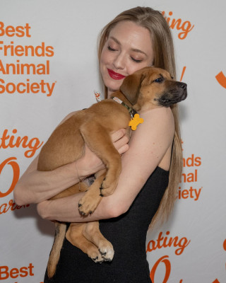 Amanda Seyfried - at Best Friends Animal Society’s Benefit in New York
