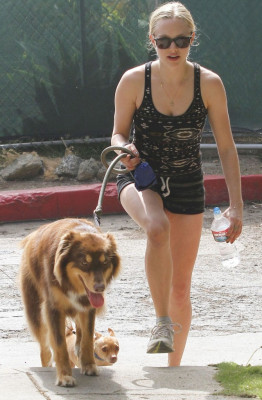 Amanda Seyfried pic #433717