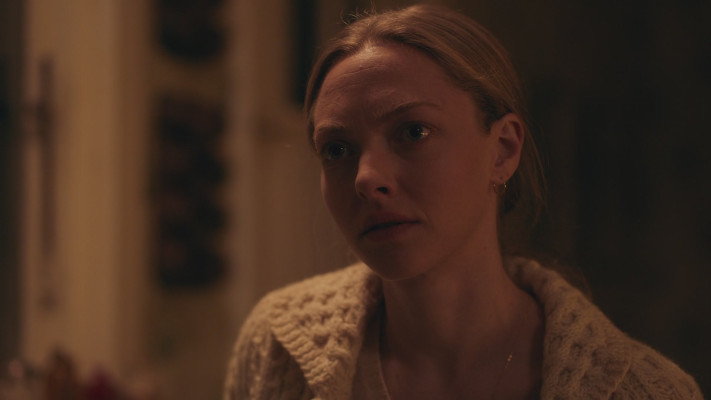Amanda Seyfried - Things Heard &amp; Seen (2021)