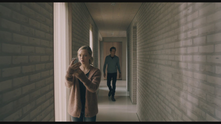 Amanda Seyfried - You Should Have Left (2020)
