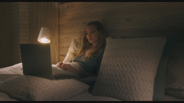 Amanda Seyfried - You Should Have Left (2020)
