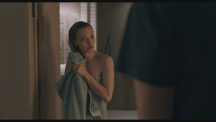 Amanda Seyfried - You Should Have Left (2020)
