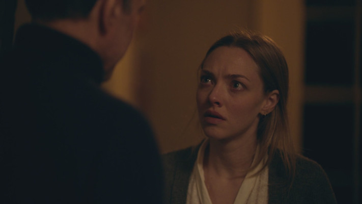 Amanda Seyfried - Things Heard &amp; Seen (2021)