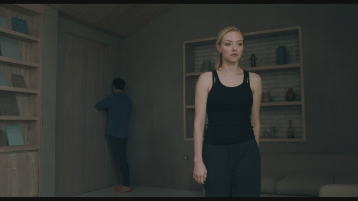 Amanda Seyfried - You Should Have Left (2020)