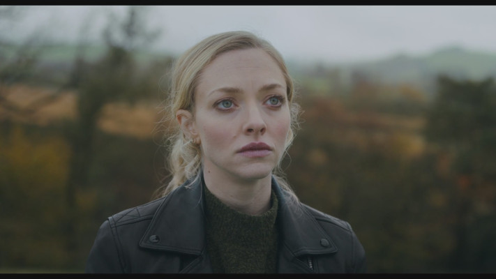 Amanda Seyfried - You Should Have Left (2020)