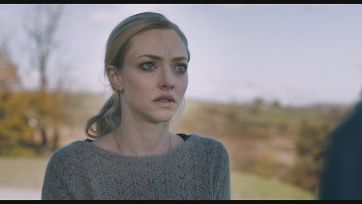 Amanda Seyfried - You Should Have Left (2020)