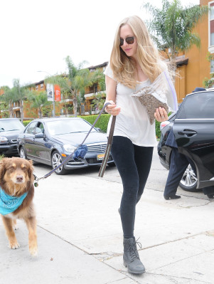 Amanda Seyfried pic #646191