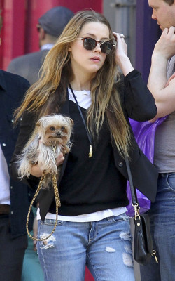 Amber Heard pic #722622