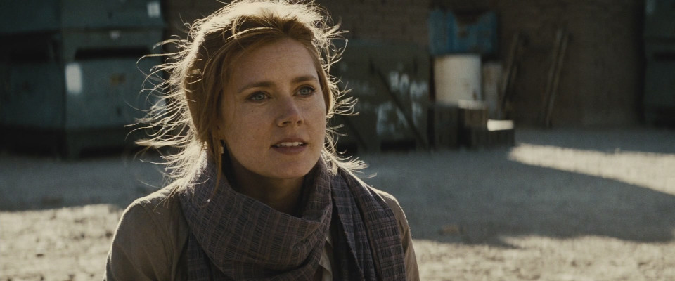 Amy Adams - Batman v Superman Dawn of Justice (2016) - Movie Stills