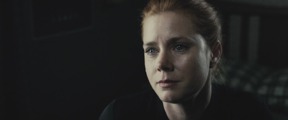 Amy Adams - Batman v Superman Dawn of Justice (2016) - Stills