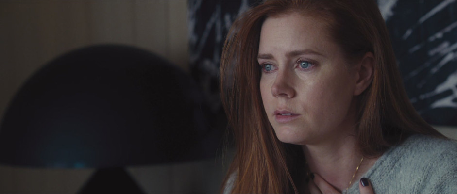 Amy Adams - Nocturnal Animals (2016) - Movie Stills