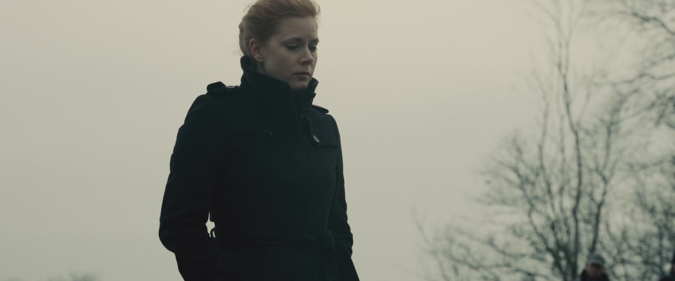 Amy Adams - Batman v Superman Dawn of Justice (2016) - Movie Stills