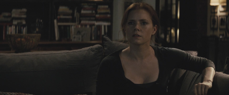 Amy Adams - Batman v Superman Dawn of Justice (2016) - Stills